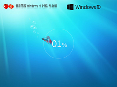 番茄花园Windows10 64位 精品专业版