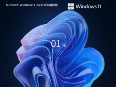 【少量精简】Windows11 24H2 64位 专业精简版镜像