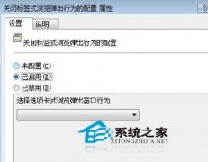 体验vista下与众不同的上网冲浪技巧