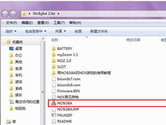 电脑NDS模拟器怎么用？