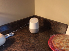 网友展示用Google Home来点燃壁炉：语音控制 仅需数秒