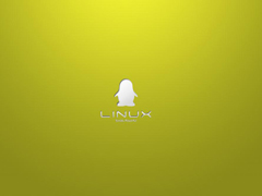 Linux下出现Too many open files提示怎么处理？