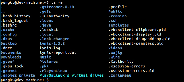 Linux ls命令操作实例汇总