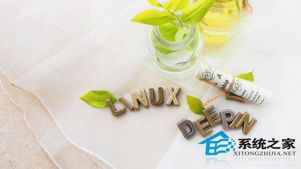 Linux系统格式化分区时提示Could not start /dev怎么办?