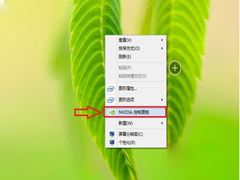 Win7开启Nvidia控制面板的技巧