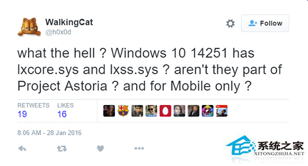 Win10 RS1预览版14251可能包含Linux子系统
