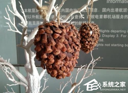 小米MIX真机评测：颜值性能双巅峰的国产旗舰机