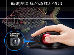 轨迹球鼠标好用吗？轨迹球鼠标的原理和作用解析