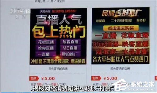 骗局揭秘:女粉丝挪用360万公款打赏男主播