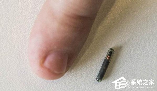 淘汰员工卡！一家比利时企业为员工植入芯片