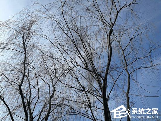 华为P10评测：稳定全能的安卓旗舰手机