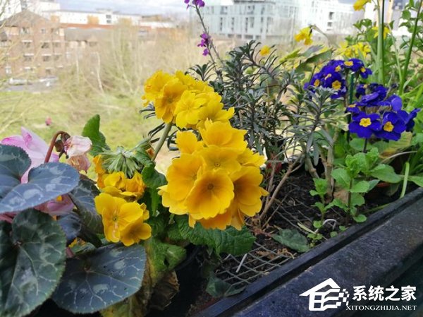 华为P10 Plus评测:市面上最棒的大手机之一