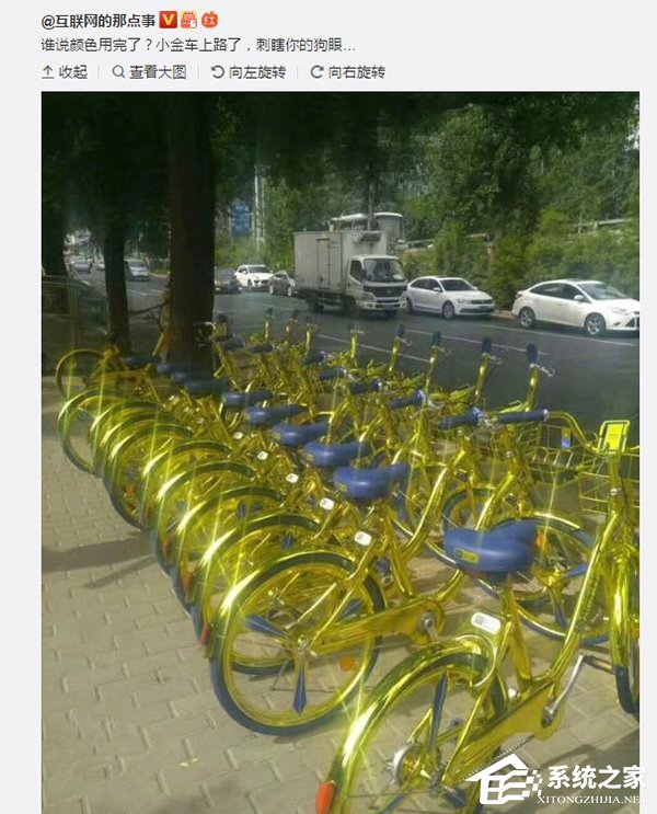 共享“小金车”现身街头：亮瞎狗眼！