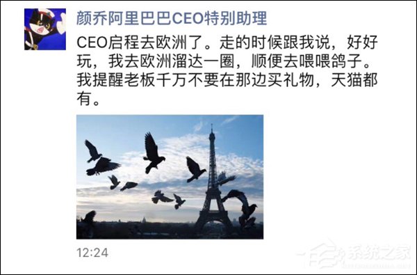 说好的618大战呢？阿里CEO张勇竟然飞到欧洲去喂鸽子