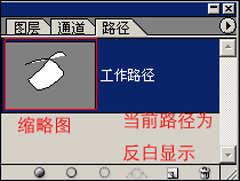 PS钢笔工具怎么用？PS钢笔工具使用技巧详解