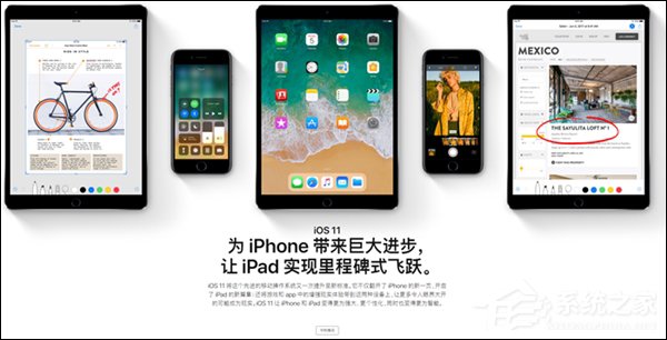 遭中国开发者集体举报!苹果神回应