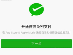 苹果App Store如何开通微信支付功能？