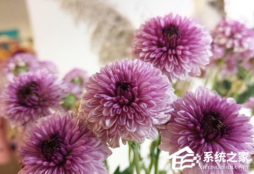 美图V6怎么样？美图V6真机评测