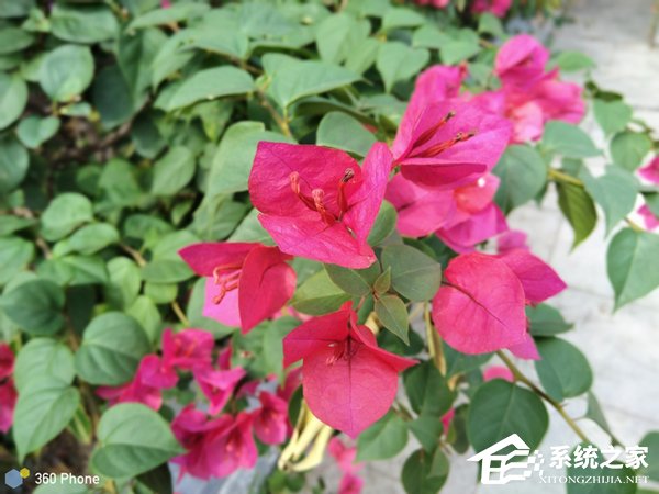 360 N6Pro值不值得买？360 N6Pro深度评测