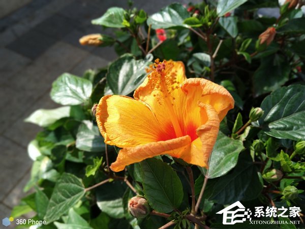 360 N6Pro值不值得买？360 N6Pro深度评测