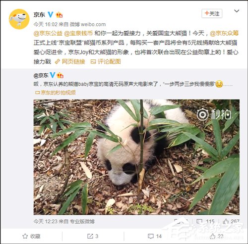 不务正业？京东宣布认养大熊猫“京宝”