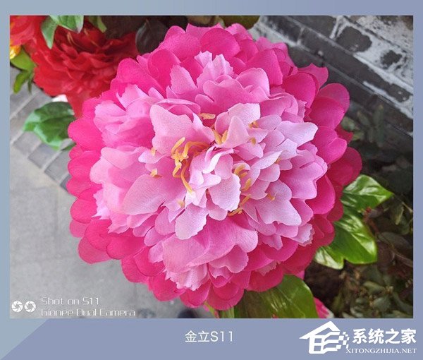 360N6拍照效果怎么样？360N6、坚果Pro2、金立S11拍照样张对比