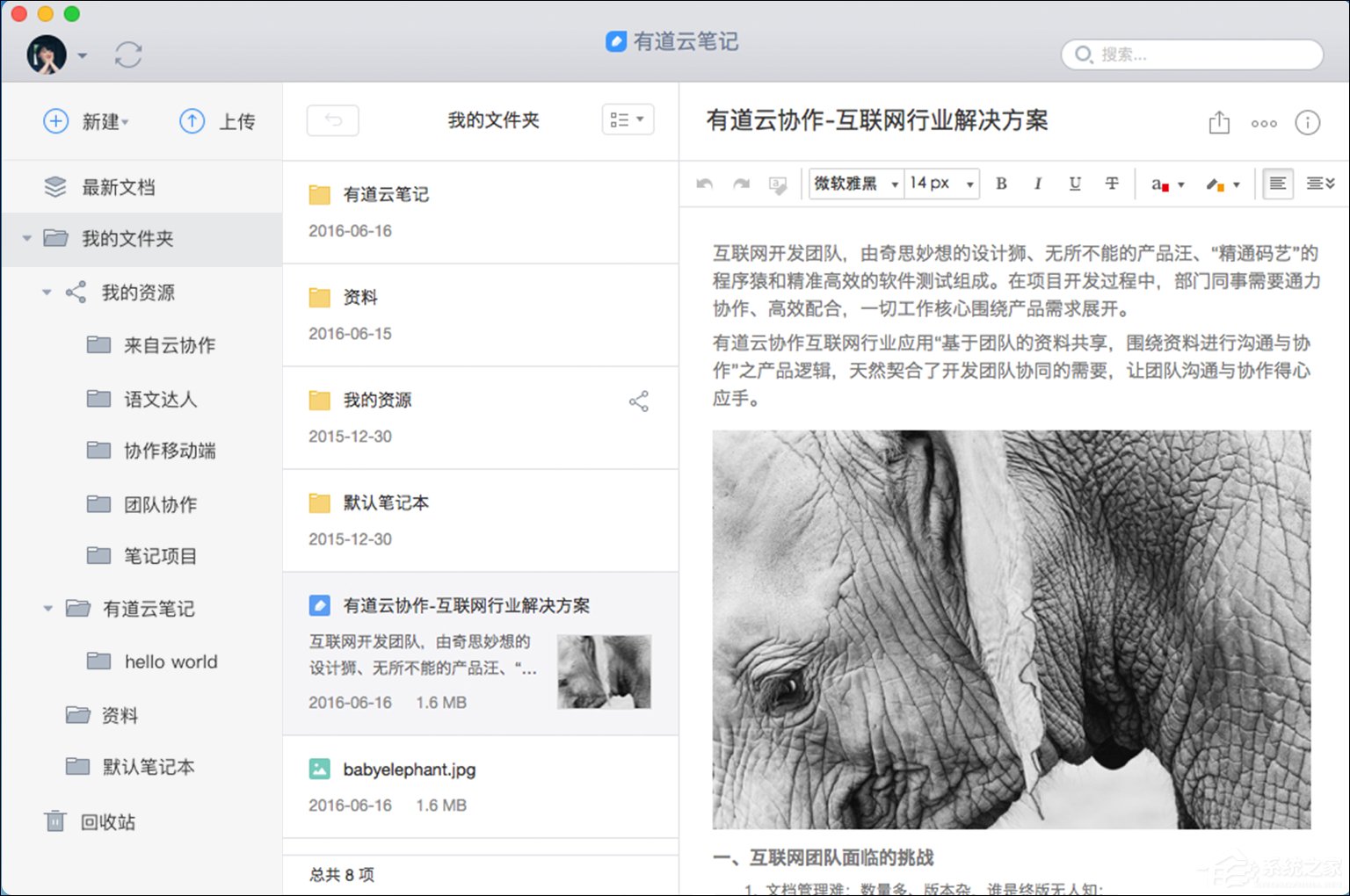 最常用办公软件有哪些？办公自动化软件推荐