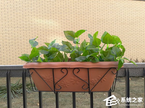 魅蓝S6怎么样?魅蓝全面屏新机S6深度评测