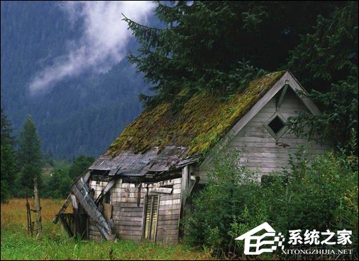 好用的PS滤镜有哪些？画面控的PS插件推荐