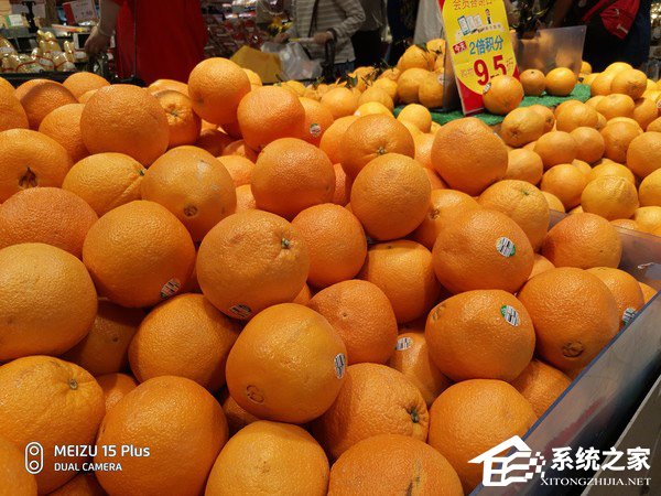 魅族15系列手机值得买吗？魅族15系列手机全面评测