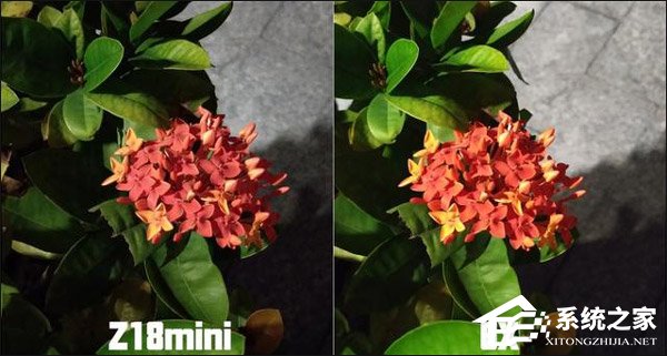 买小米6X还是努比亚Z18mini？努比亚Z18mini和小米6X对比评测