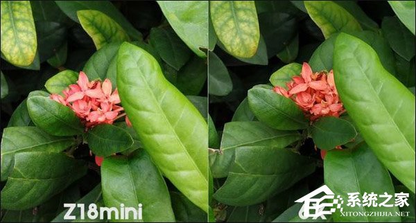 买小米6X还是努比亚Z18mini？努比亚Z18mini和小米6X对比评测