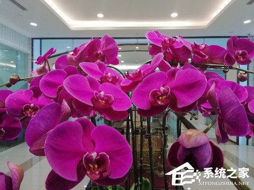 华为畅享8 Plus怎么样？华为畅享8 Plus体验评测