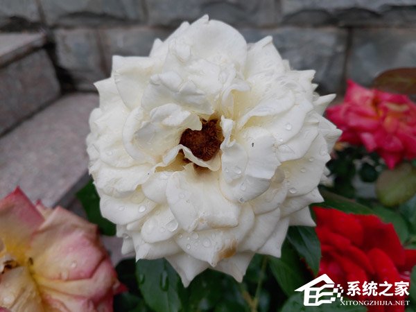 坚果R1值得买吗？坚果R1手机深度全面评测