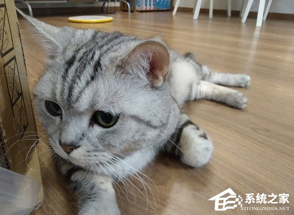 红米6 Pro好不好？红米6 Pro手机评测