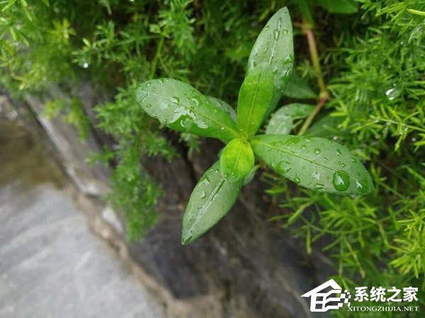 红米6 Pro好不好？红米6 Pro手机评测
