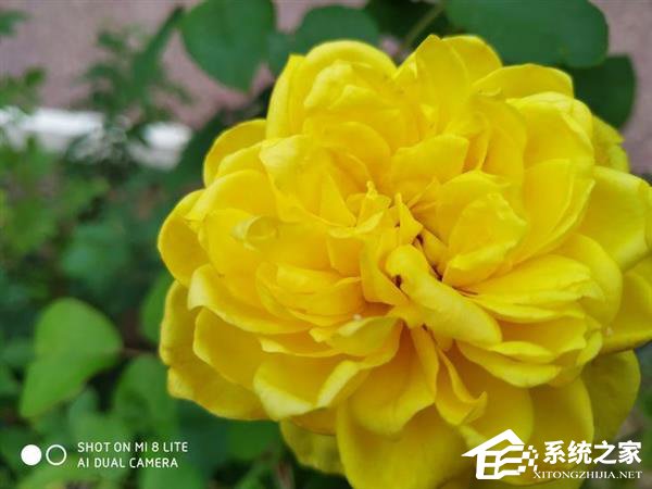 小米8青春版怎么样？小米8青春版手机上手评测