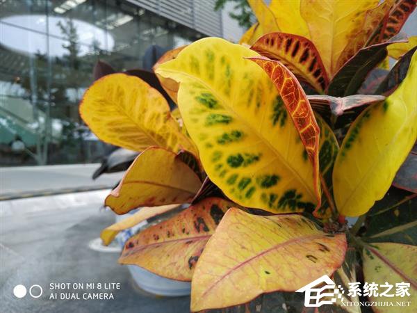 小米8青春版怎么样？小米8青春版手机上手评测