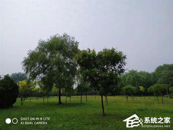 小米8青春版怎么样？小米8青春版手机上手评测