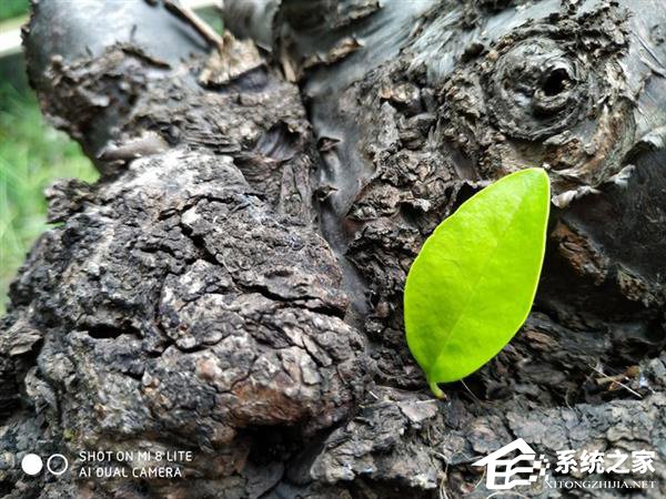 小米8青春版怎么样？小米8青春版手机上手评测
