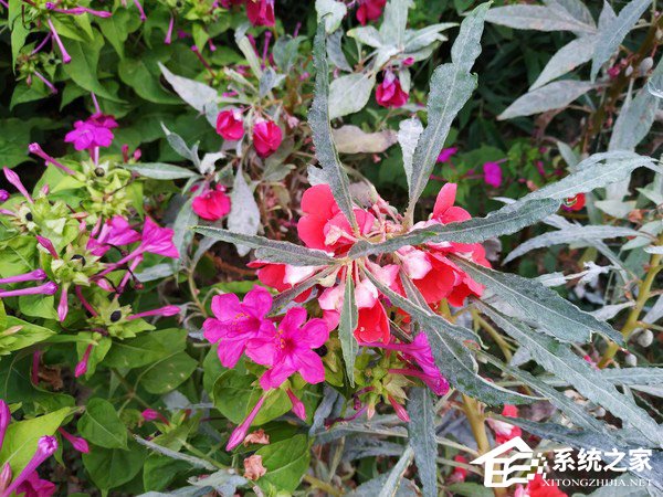 小米8青春版好用吗？小米8青春版手机评测