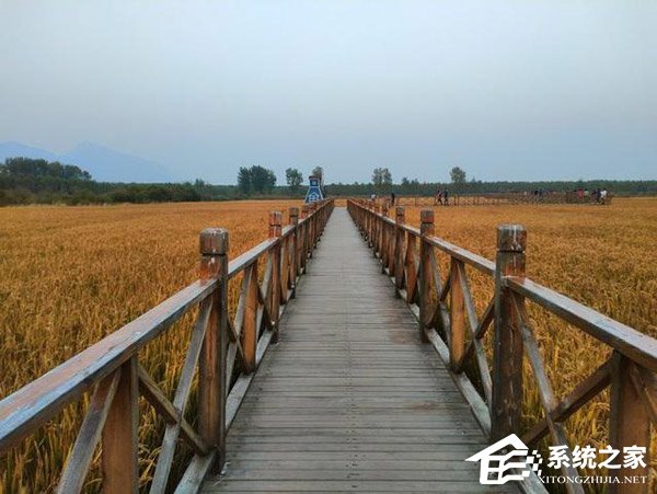 荣耀畅玩8C怎么样？荣耀畅玩8C体验评测