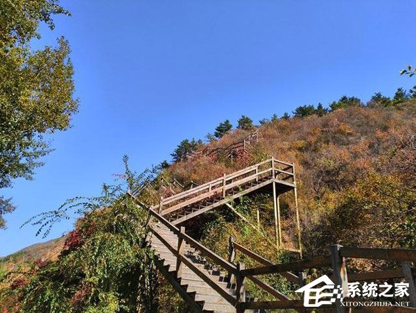 荣耀畅玩8C怎么样？荣耀畅玩8C体验评测