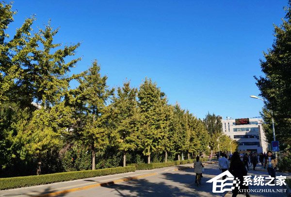 黑鲨游戏手机Helo怎么样?黑鲨游戏手机Helo上手评测