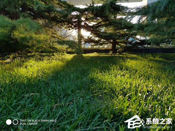 黑鲨Helo玩游戏怎么样？黑鲨Helo全面评测