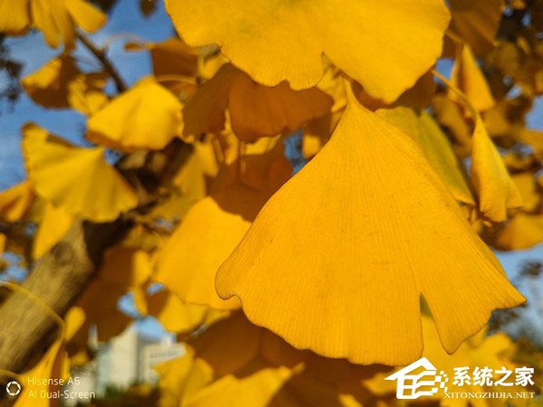 海信A6怎么样?海信A6手机体验评测