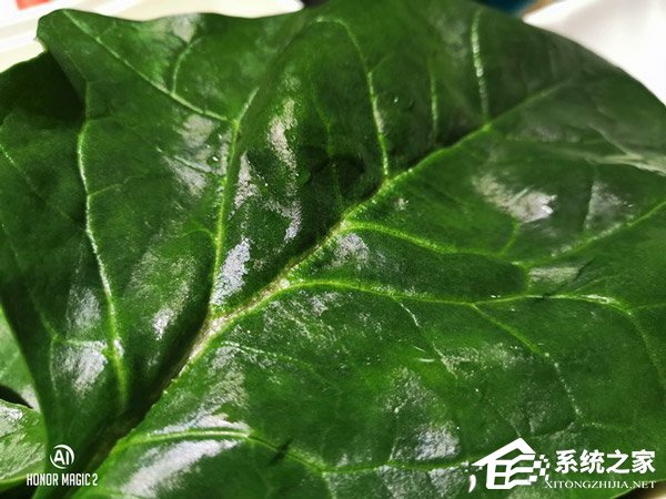 荣耀Magic 2拍照好用吗？荣耀Magic 2超广角AI三摄体验评测