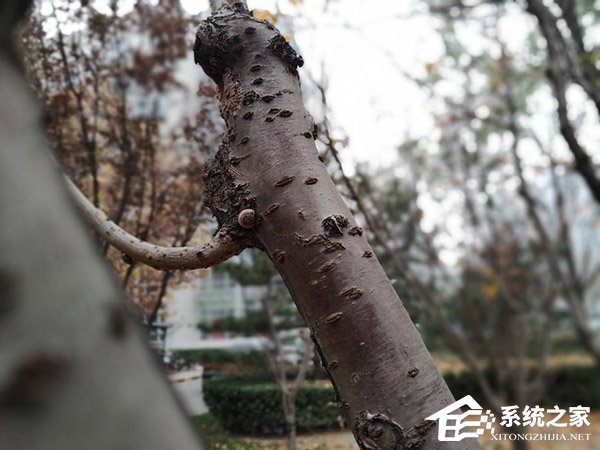 中兴Axon 9 Pro好不好？中兴Axon 9 Pro上手评测