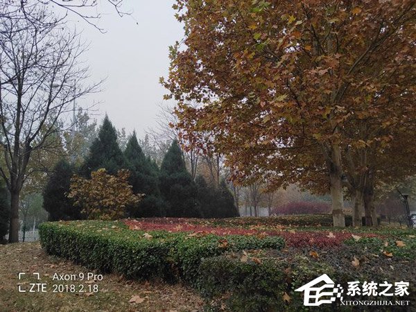 中兴Axon 9 Pro好不好？中兴Axon 9 Pro上手评测