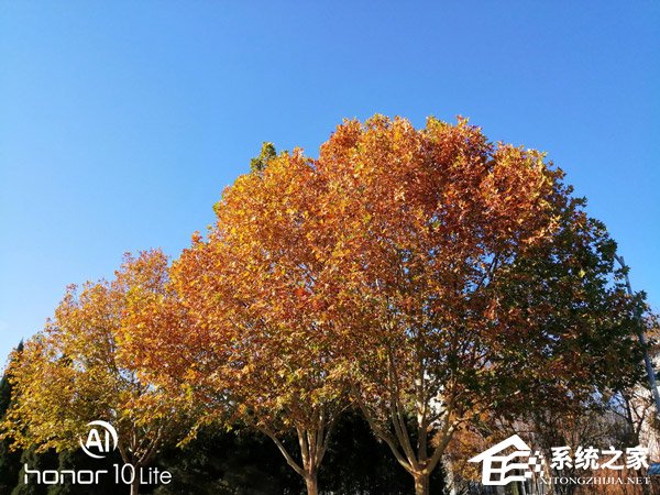 荣耀10青春版好用吗？荣耀10青春版手机全面评测